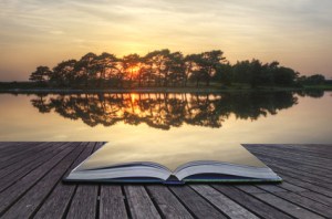 Beautiful simple image of sunset through tress reflected in lake in foreground
